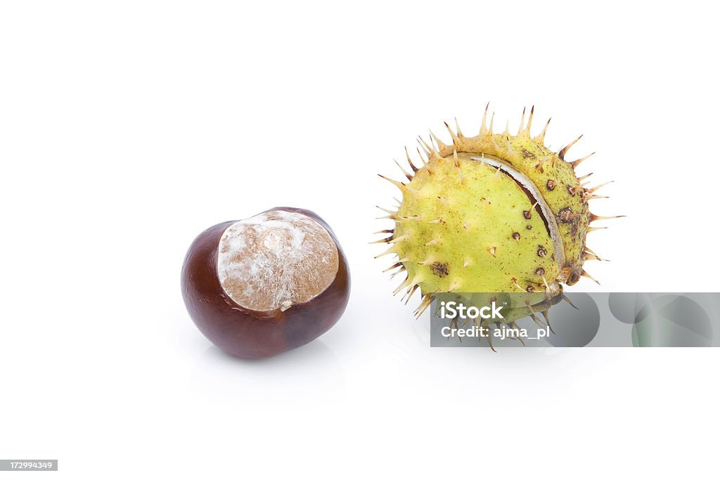 Castagne isolato su bianco. - Foto stock royalty-free di Affilato