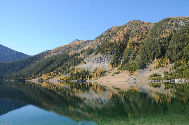 istock Autumnal Subalpine Larch at Storm Lake 172994602