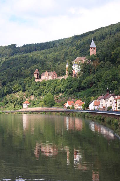 istock castle Zwingenburg on Neckar 172994622