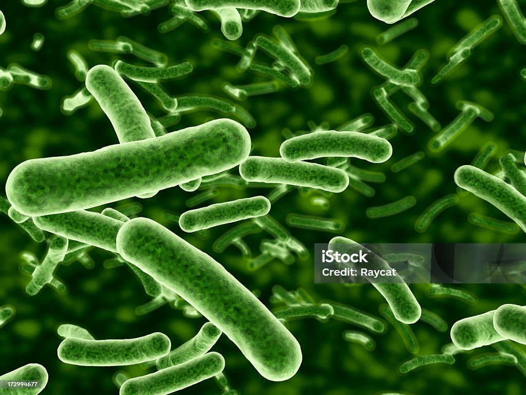 박테리아 흐르는 - 로열티 프리 박테리아 스톡 사진