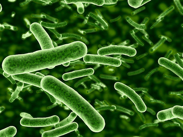 Microscope view of bacteria flowing Bacteria flowing with depth of field. Can also be used as plant cells. bacterium stock pictures, royalty-free photos & images