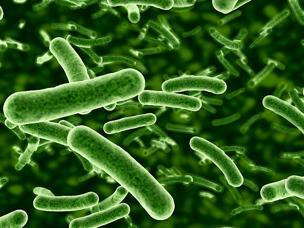 bakterie płynąca - bacterium e coli pathogen micro organism zdjęcia i obrazy z banku zdjęć