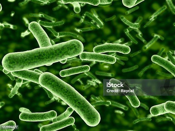 Бактерии Течет — стоковые фотографии и другие картинки Бактерия - Бактерия, Микроорганизм, Кишечная палочка