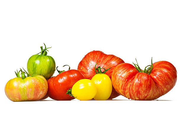 seleção de tomate - tomato heirloom tomato vegetable isolated - fotografias e filmes do acervo