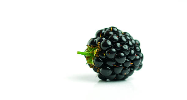 Isolated blackberry on white background stock photo