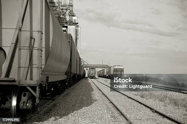 Treni E Tracce - Fotografie stock e altre immagini di Agricoltura - Agricoltura, Attrezzatura, Cereale