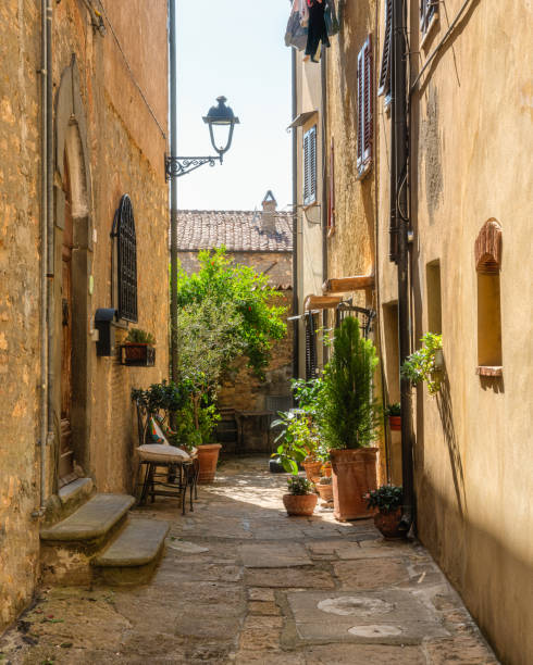 el hermoso pueblo de bibbona en una soleada tarde de verano. provincia de livorno, toscana, italia. - tuscany florence italy chianti region italy fotografías e imágenes de stock