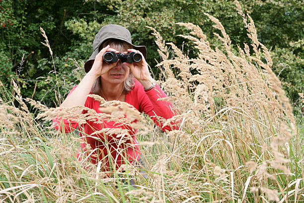 dzika przyroda - discovery binoculars boy scout searching zdjęcia i obrazy z banku zdjęć