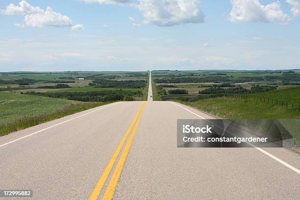 Diretamente Na Estrada Para O Campo Infinito - Fotografias de stock e mais imagens de Agricultura - Agricultura, Alberta, Amarelo