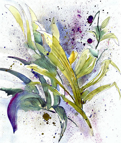 Pintura em Aquarela de selva plantation - ilustração de arte vetorial