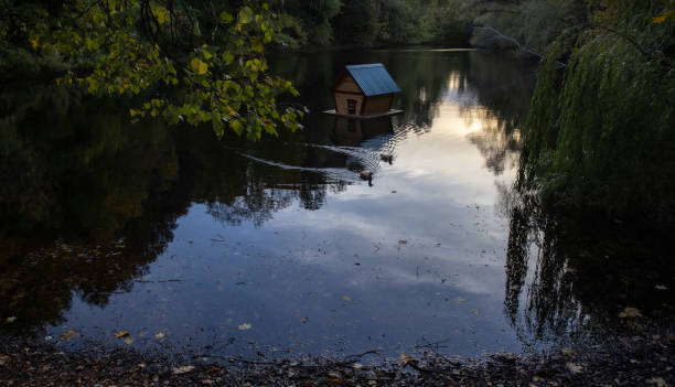 istock Beautiful small wooden shelter 1729963101