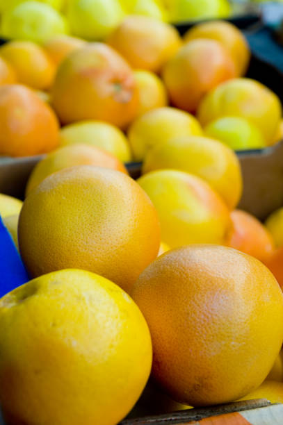 Grapefruits stock photo