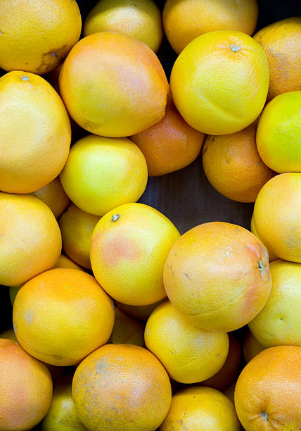 fresh grapefruits stock photo