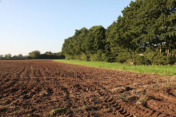 Freshly ploughed field in autumn