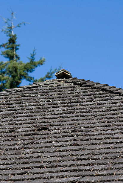 istock Wooden House Roof 172997775