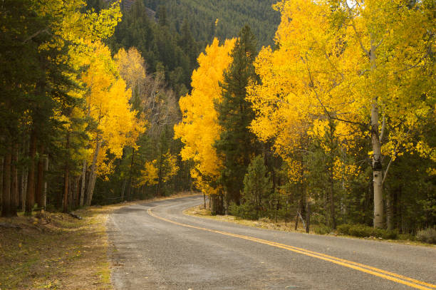 istock Country Road in Autumn 172997898