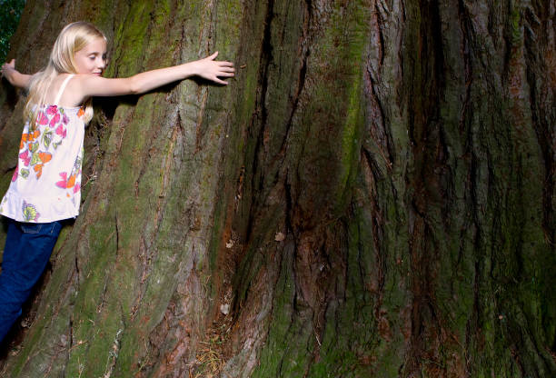 istock Blonde Girl Hugging Tree 172997924