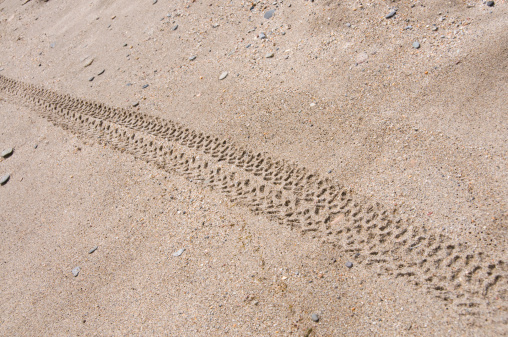 Bicycle tracks on the beach.