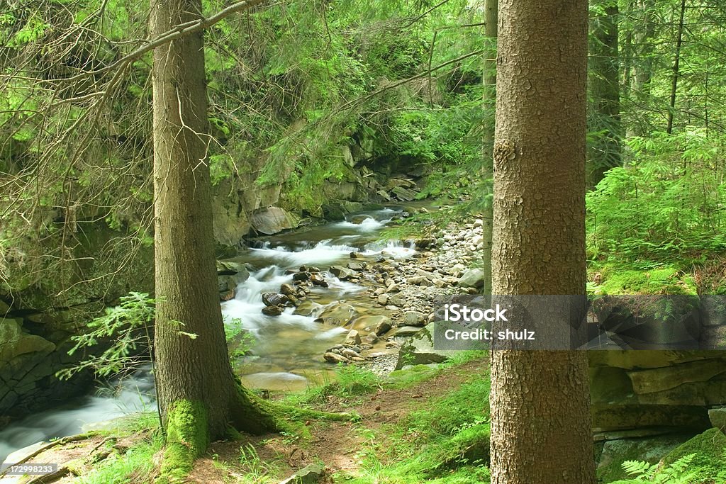 Mountain stream - Lizenzfrei Bach Stock-Foto