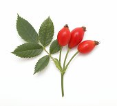 Rose hips