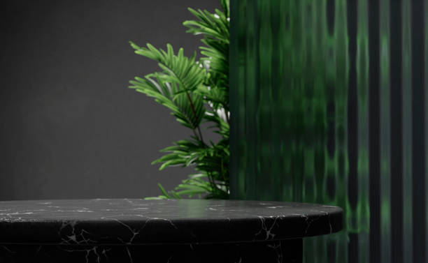 istock Empty black marble table and tropical plant behind textured glass panel. Home interior showroom background. 1729985974