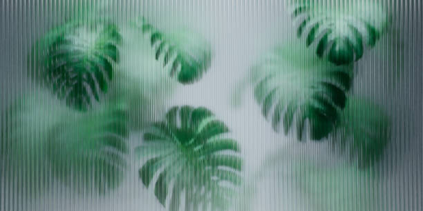 tropical monstera plant behind reeded glass panel. abstract botanical background with green foliage. - tropisch-motief-fotos stockfoto's en -beelden