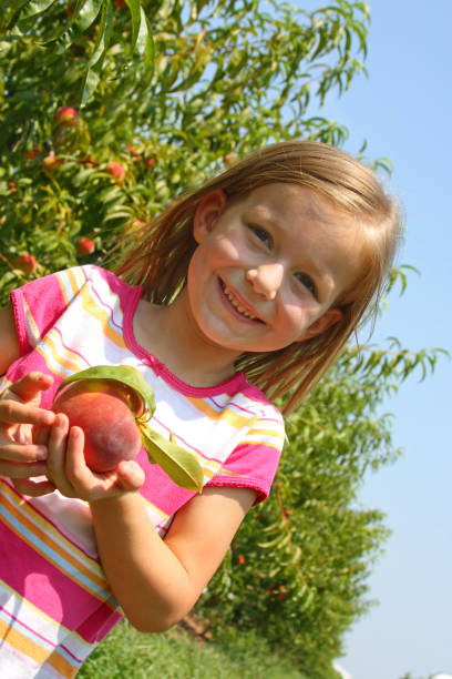 istock Young girl picking peaches 172999419