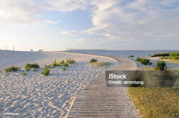 Passeio De Tábuas De Praia - Fotografias de stock e mais imagens de Arbusto - Arbusto, Areia, Destino de Viagem