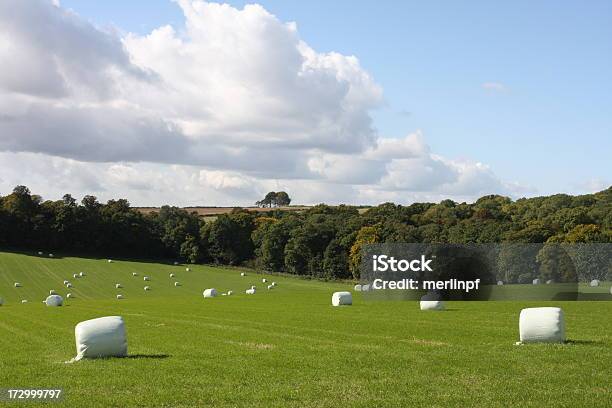 Herbst Felder Nach Baling Stockfoto und mehr Bilder von Heuballen - Heuballen, Horizontal, Landschaft