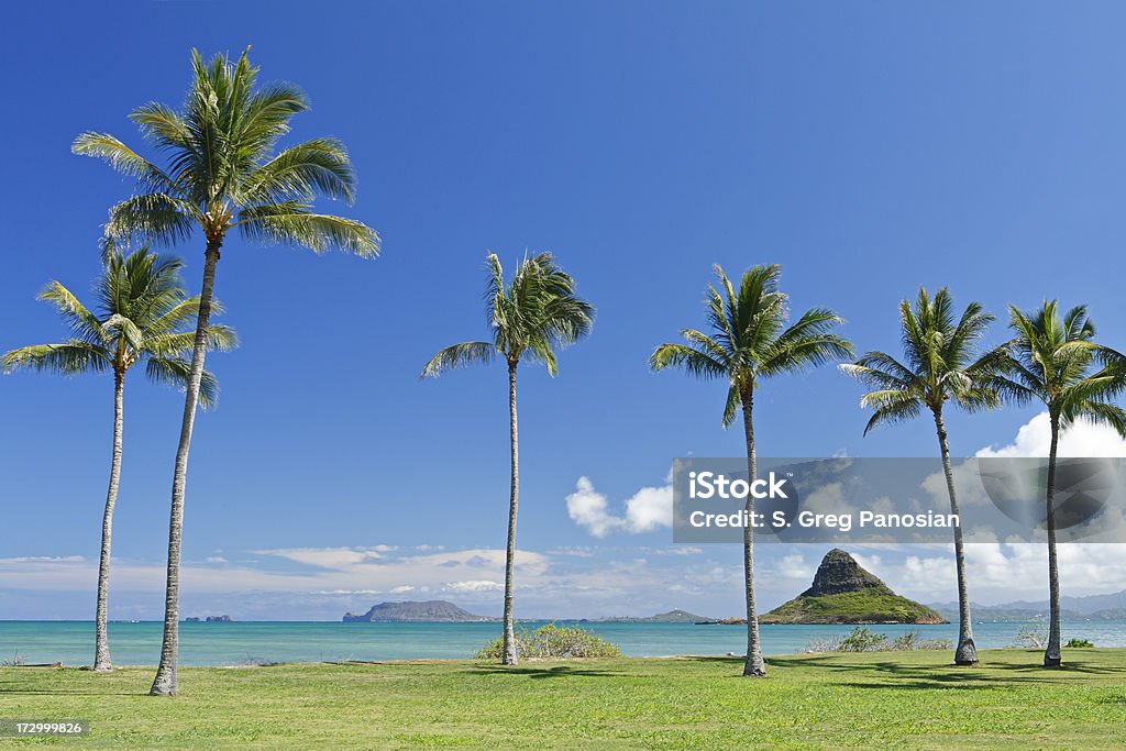 Insel Oahu Landschaft - Lizenzfrei Amerikanische Kontinente und Regionen Stock-Foto