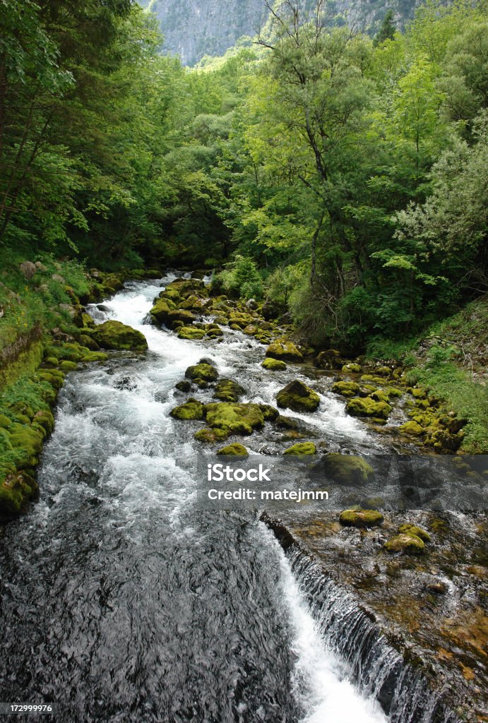 Alpine rio - Foto de stock de Alpes europeus royalty-free