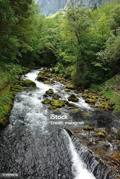 Foto de Alpine Rio e mais fotos de stock de Alpes europeus - Alpes europeus, Beleza natural - Natureza, Corredeira - Rio