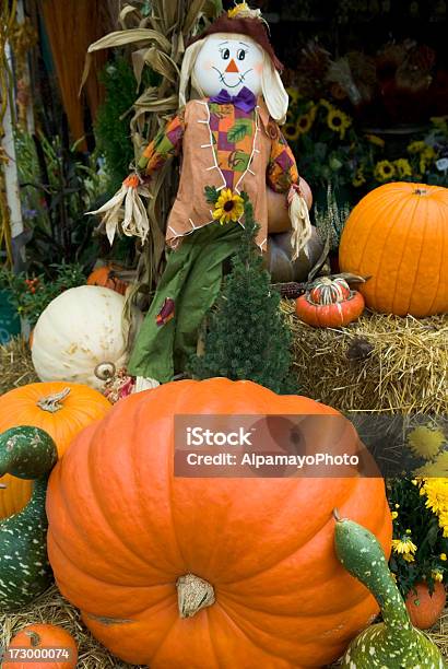 Jesień W Lokalnym Rynku Xii - zdjęcia stockowe i więcej obrazów Bliskie zbliżenie - Bliskie zbliżenie, Dekoracja, Dostatek