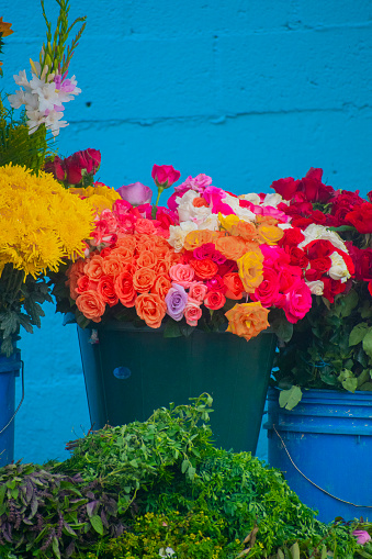 flores en cubeta