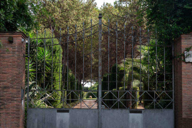 istock Vintage iron gates with a view of driveway and trees on both sides 1730009873