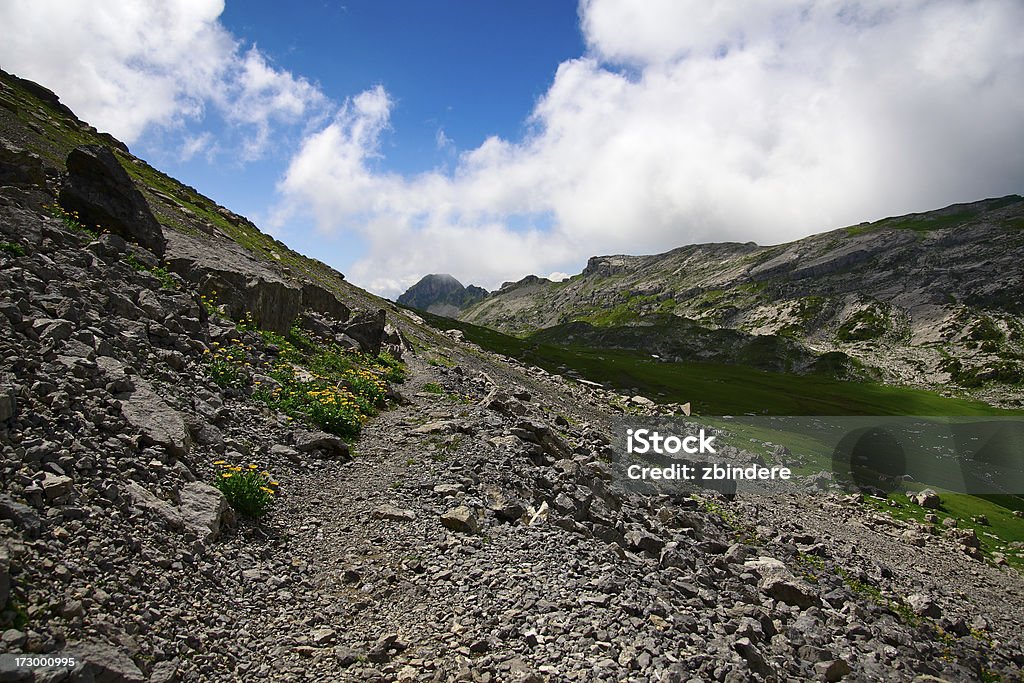 Alpine percorso di - Foto stock royalty-free di 2000-2009