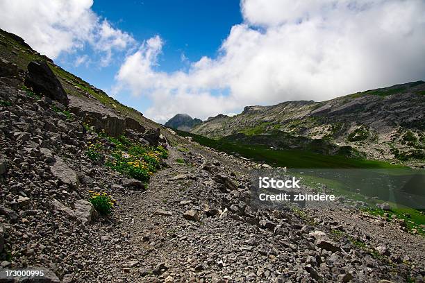 Alpine Percorso Di - Fotografie stock e altre immagini di 2000-2009 - 2000-2009, Alpi, Alpi Bernesi