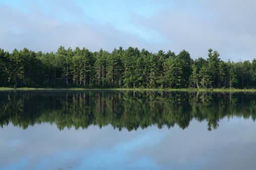 Lake in green forest with blue sky