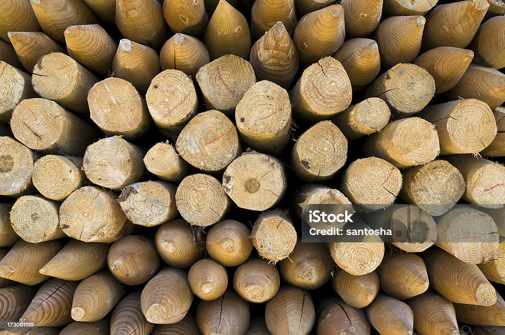Drewniane posty - Zbiór zdjęć royalty-free (Abstrakcja)