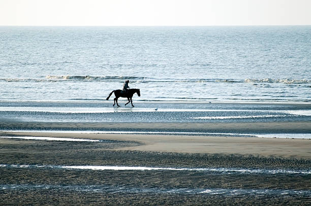 istock Horse rider on beach 173001165