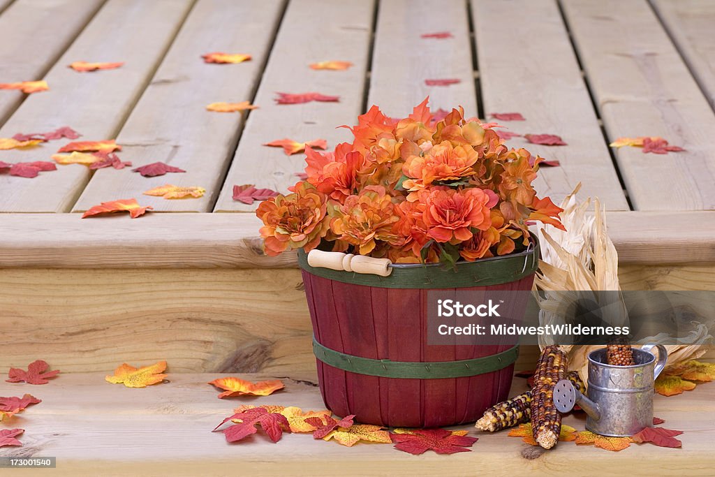 Herbstfarben - Lizenzfrei Blatt - Pflanzenbestandteile Stock-Foto