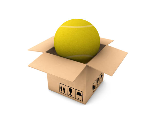 Cardboard Box with Tennis Ball