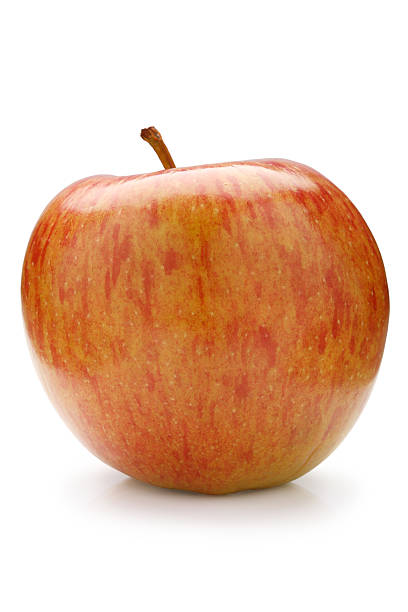 Red apple stock photo