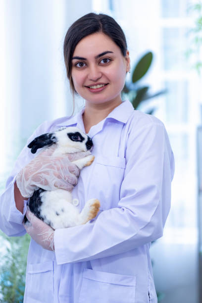 istock Scientist or pharmacist holding cute fluffy Bunny in laboratory. Friendship with Easter Bunny. 1730018297