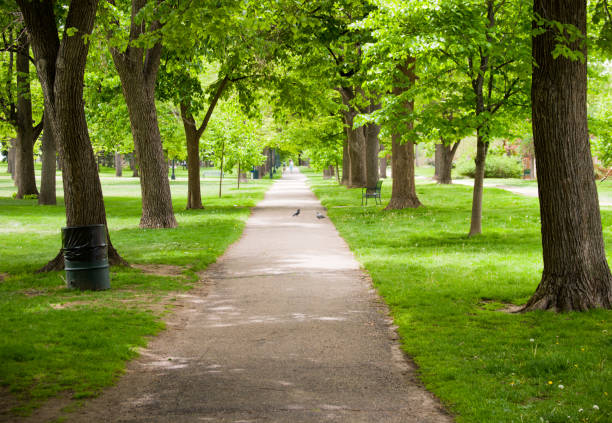 istock Lovely day for a walk in the park 173001899
