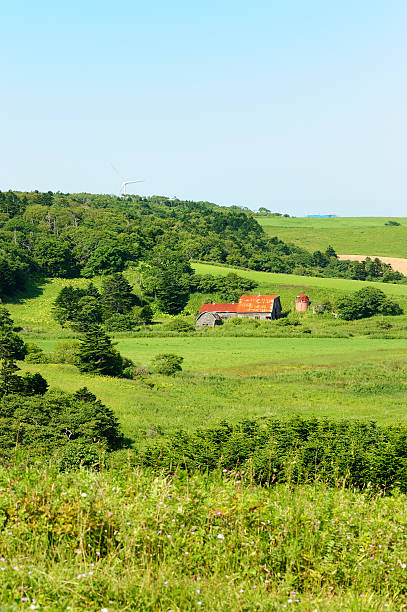istock Countryside landscape in Japan 173001995