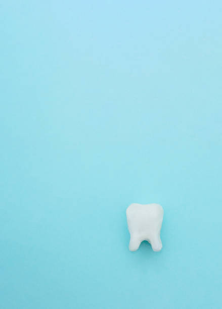istock Dental care concept, white tooth model on blue background with copy space. 1730020580
