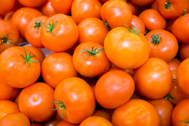 Red tomatos stock photo