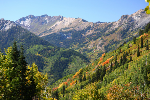 Sunny day in the high mountains of Utah, USA with fall colors at their peak.