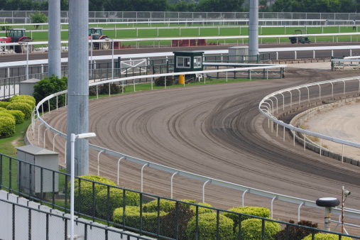 Turf and Dirt track in Racecourse.